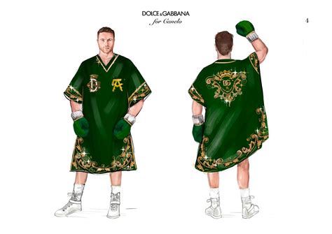 dolce gabbana cane|canelo poncho.